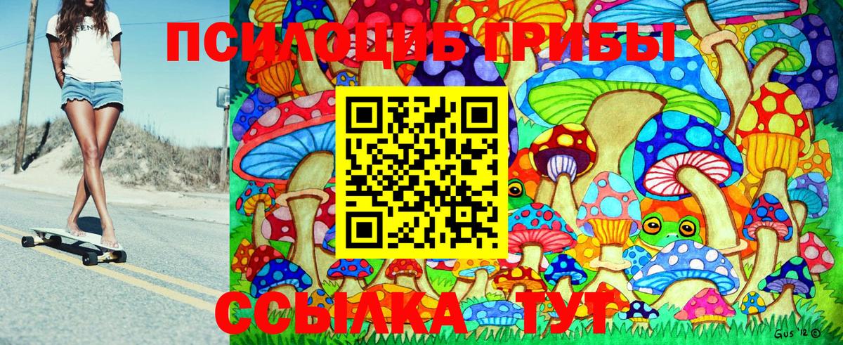 Большой Камень  Псилоцибиновые грибы Magic Shrooms  Вход с VPN 